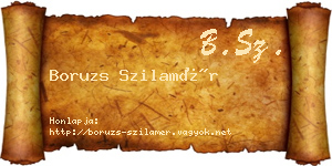 Boruzs Szilamér névjegykártya